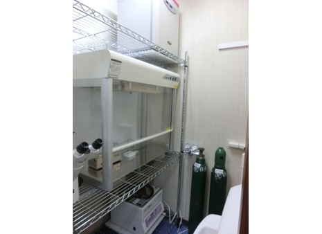 再生医療細胞培養室