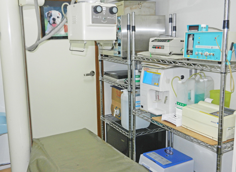 レントゲン検査